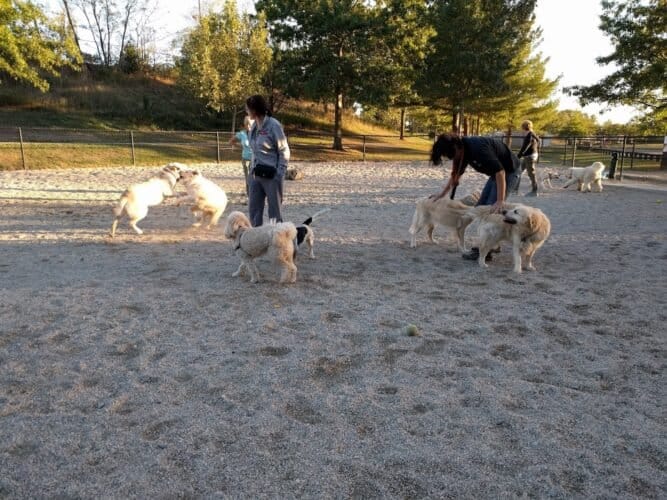 AC9h4nquxTlDb9u0YxqCJrejk1c 6762rDMfho wCQCJ6Or3bn4RPqVIJ llcNSrrPmteIG6fqXjCwAioMMX8zdsblR gPihnuxo JJt9c3dqlE8mTABBtNxBYqThGmLhpxKcZV0Hu8 XAw1600 h1000 k no