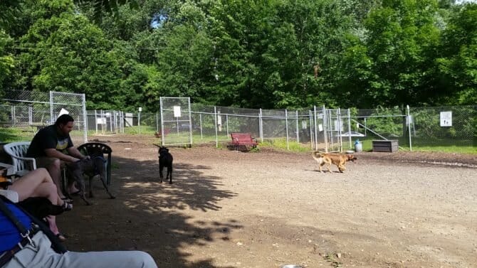 AC9h4nqvLMkilfI3Y2kX6RM6Q0ntTaKEYYWMJnYnjoGxiELSBeq0cs3QvDA8HXKrqzGd22B9RkikZhgyaSRSEfvUDo48S4Y5tUImXH6nNaD24bLgZzirqFmysHCqs0E8DZw4qkS vLDmw1600 h1000 k no