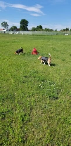 AC9h4nqvhSA PibLK35bUoyL3XMfY32kR6Q 5pQEh290E4LaSOl2FWi2N6aNSuWV26jR 65ILjz9n91LH2IxveXSsfZvMNaNtW6KUQ3F 92bQfm oSgwumKpfOrFoAsL4 FRUlhyKpww1600 h1000 k no