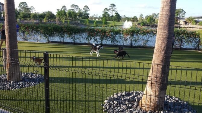 AC9h4nqvuOr00Y OkOWXViBt3VTWaWt284Z25IEdN1 wQIvld81572RRIitHpCL vL26e6hLWV0bjlWPF5gmG3bmMElqe16tRY lsqxSz UuTw ePOvZGUPp NMHBA0SOdgZpf BTLRWw1600 h1000 k no