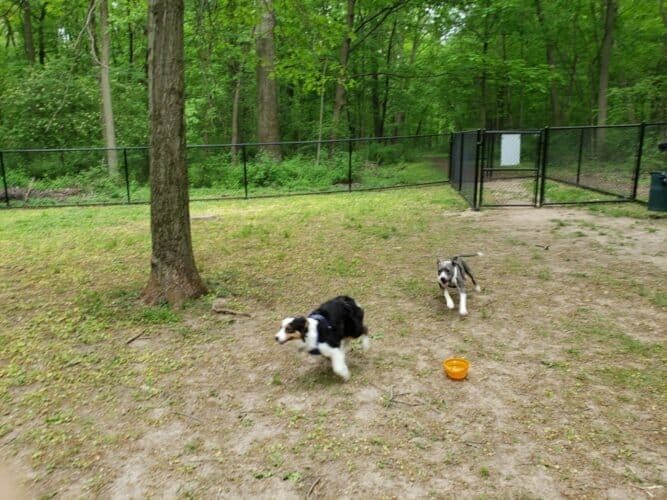 AC9h4nqwbkDG5WoS6mcrxROry6w1aEpdV0nXgkklGRV bgFbu5dYebR5rN5q3 VV988BG xLkSq8cQnKjEE90pyTbJqawl0ajyI 2O6VZd4w1600 h1000 k no