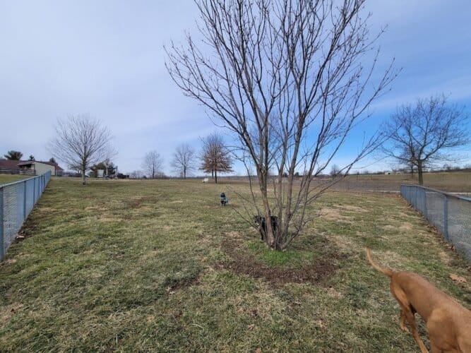 AC9h4nqwgbwxpze9xZ24zFDTynwJP3VdAYWZC43OvRtSFpVJgeCy48ih e3xhnBXZvrhqszRdw doP 6y60e1xNwoZturX04gZzejoFfrqFlFxaR8zqhADfCNuhtzxY1umYAbyWsKzPmhAw1600 h1000 k no