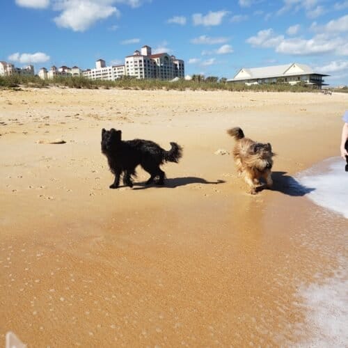 AC9h4nqwxfnbTczGRgNYjgsQZerEUlqejG9jIIhjFmFmLyD1O4YhSY CrRtfZPu0Fkqh8NekdIY3bQBcZ52 FjtkIYp6 mlEVNLOaWm5T5PBVV7aGVdE4kY3x7NtRZibc Er8se0ZgswRww1600 h1000 k no