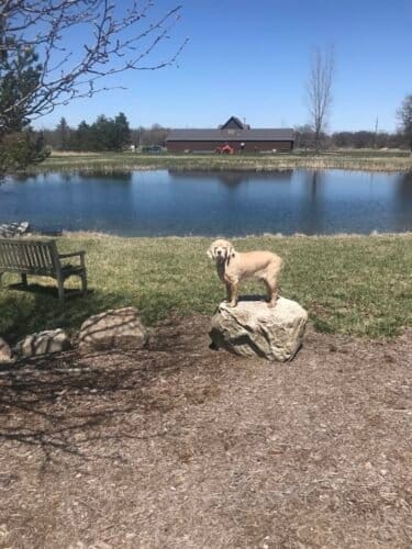 AC9h4nqxT4MGIH4zbOctT Cl5YqYC2d1XebAVmgcWBOIn4nf2GmA0HdufyWQRTZxvrzu9LyCCF0unciuEfnFvoKFFWRqSObskyJjrdT8zQDlZvhMtsoiBa5rmDnBLXKkA4PnVVRtpGyuw1600 h1000 k no