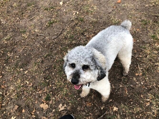 AC9h4nqxTLFLf6YHRBggwp3YuXR4hWjQCZwMI9zet6E93V6GyynQWr6h1qeNSlxU4piYJwIrSffcrUBgewJVVY2Y8RkKJP7J32093GQ2q1vZ4 FOaA9STuDtcc12Sb2Ya dF hO5 a4w1600 h1000 k no