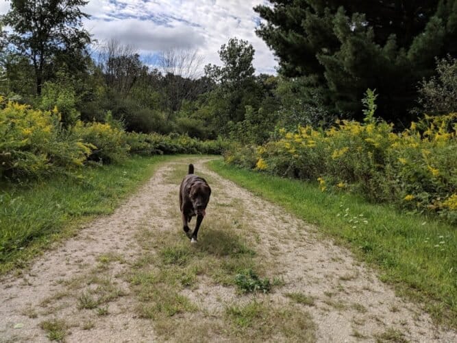 AC9h4nqx 9G3f11P0Jj48h6X1 Todlpuw0P9C8jx1l0wRzHsdxbwCEf9t0qUrsqck0HdnIp9oVZuAEXxBcxcqZAyumLHyRtPW v2SO4Wu5 akojBvztbo5AABzb91qU8i2maQAHOJbPvw1600 h1000 k no