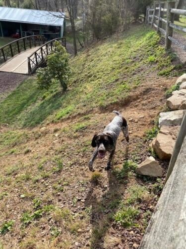 AC9h4nqxcE5ae9AX8P ugZVa37YNTwDYi8ko4chIVhXGJHvXR5dum5HnvlR58aVyWFDAgGa6q46jg MGMJnIxmDh7vuH9nMRu3jH7 jhp9FR56ovjs5wgsdl DD2 VzGMvrAr 5KcAhIYgw1600 h1000 k no