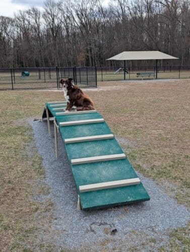 AC9h4nqxtohtQ4JvK i4zW6kXy 4fg7QxSAL6FArx1 wXR757basNr67uLTMHN gzXsAW7vGESSnIS4yALJ77j7J8fosD7372G3CYzMxN7an2OdD1VRxVyaGFRZRoNaD QQJTba qawfw1600 h1000 k no