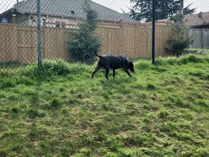 AC9h4nqyCoFJNMH 4qI931QkQhADI9nm CouJcG8C6sADI8rk7RrftNf740AfZhy4LetYlsXMLpYMn4KB3Kv2JIG8i034tte4RZ G2ilsfBKNCnq0GNSj93JlId5NQ 9Ew9UzVnLG17iw1600 h1000 k no