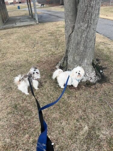 AC9h4nqyKMwXh4 QdkTyK4cDQ z6coeh8wgoiWCyXjpSlbIYdjYzqs2TKT 1trBQLqSbn0A9ycwvXuYW gbg6BVMBGVwjZlP9eYdeVqwLJhYgVfGQK5Sw6kUcyJjUyjiTHkHhtj8lE70w1600 h1000 k no