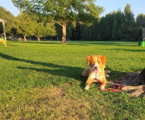 AC9h4nqyM01 wkp1UR HfnOy3oqfezVddMT2Tx0fTOOrVEsklJC1QCsE8qkGM2Rs7CByYLZCZaSbUvdBeyoThEvG2o5Oq C2lYRvn58hkqhnyhQt3K67X8IdyV EYTf9l1qfnvhv9hHWw1600 h1000 k no