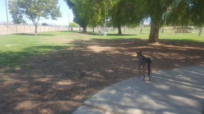 AC9h4nqyUQs QzI1IFrpsV8 HiwgHaaxlE PPJvjw3nLNKY VRBTidRvbnyZHbU4JsFHpH2vXK5HWkpOV6rWerLOe7Wlz86yYfYADRRhRb9q4JzC93LJopbDLHPE79JgvgdEVxg987qgw1600 h1000 k no