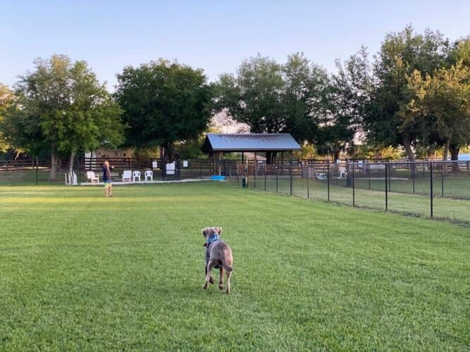 AC9h4nqy CrK 96z4giSJFft5QqCbQAhCOZIXuiM7 JE5w51nBzMWbMFgwzSrHl49mUJiGLbcZZFe9O 2Fl0xhN7FAVLltylHCXMbPnQZJBa9bvMbOSdeQneldTu9sWVj9S Vi6Jgw1600 h1000 k no