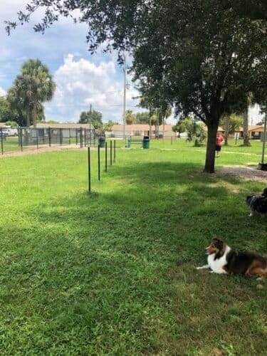 AC9h4nqyfWjWiYwSTb0Tizf z3WjiC jHTeO66XDlBm6hWtbE1xFB2zScS7j2jkXUwO3QIVvNTDJ8aYsKuqoLp4csifUm9PczbBnyzlzJBw3i14iXetwyHMVwXwylWtMZfymPXsuwVcw1600 h1000 k no