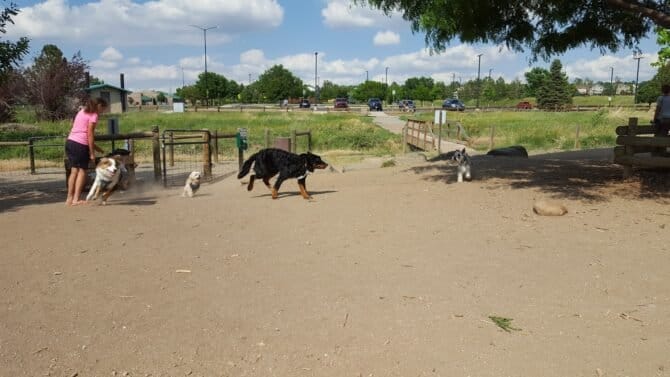 AC9h4nqz9t5JnILSXBDamg313BGWEyYgA9qSxATf2tko0hvC3HMbJ aPva7gcZvHo z8rpfOPoPbB0OGDne2SF3OJTsB0rB0zWyjCujEu5v uFk UVFE0uv67itNPrnCObstLuLkunZ2Gww1600 h1000 k no