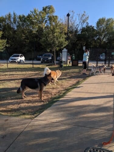 AC9h4nqzAi9gxnOfhyRcqSfbPIlmS F9ZORxgdEJX1EnF1sZQV4ir4z5z18o2TWu Vs7RmGLPncP2oT3OeGYLnA1poDd9xWY0jYvE1YtabeDWmu4npcVQgLjYBtkTK93ANB7I93ZAalOw1600 h1000 k no