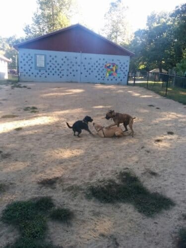 AC9h4nqzBH1SSsvFW9sijoiNR2j9vlxqW9J5mEYNlLzjsqK5mL1CkiWEH5Pjpk1KVrISEfopRQZ9xJTnUzUKSrBjwQiDLJO8DbylQP8DGmoSIMv6GQ2djljU7OTzsYnlrDnHfy4kwB3oZAw1600 h1000 k no