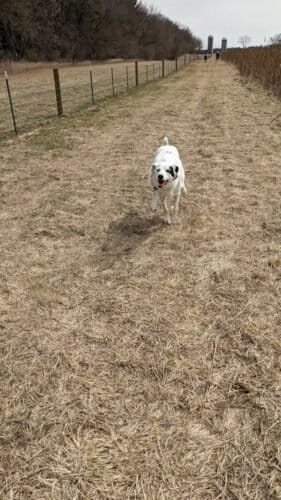 AC9h4nqzDptd3ce g2YRa cQkACf5h8FZDgxn9iqLzOcnG8Av0LFLLiccgrN10VByaAAkKJlgt08RvgAkuD9ryvlD NQ 5qMhnhb3cbV7r7dsQ443gmt1HJEXJ9Ok 61cfTc3HTMcGzmw1600 h1000 k no