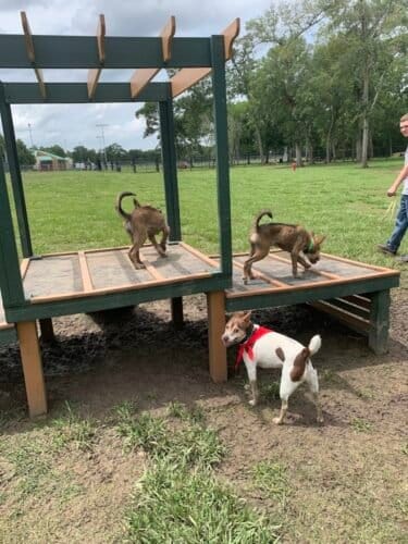 AC9h4nqzFzdeVOT8pENA0C4kMD5XF mOm2PTFj e3hClrkxnU1bVxXk6Ayy77N0GADr10e2iuvZX6FDG5AWKH1ILRqcnAgYW2vlAxYkbVbXb6bzGaoOokWnMgMerYn6aSmfkcGhNb1arIww1600 h1000 k no