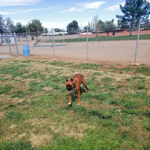 AC9h4nqzIL8m187IwbjD6YYGWz1BZyMH2SOTLqre3fz0FAOEAcwxgONgpIVnKPZdh173i0IV 7jDuD2WURNTtTZ83Q3RRYJvrAMhh4I3bJ4w1600 h1000 k no