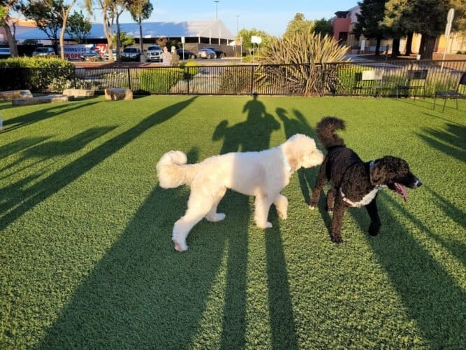 AC9h4nqzKonWT4F Zi46fEKPhGzF7HJXBH yGnAODdvfg2iqY3NmIRdyXC863sojKGBGF3zikkLHjRDo8JvPbllSRoDgFGtsTuvRJTlE7WSR4OWnISRe63f0cmXMZhf4O30yPO3gZBovtgw1600 h1000 k no