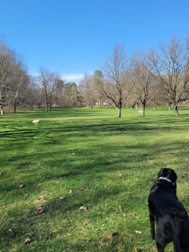 AC9h4nqzTyxNcxmSPlgznvxb27W 8 jGgsQ5oV5lRVWnC0mIMIVsyRcGbMRmysyFgKBg4f5wWc7kTjl enMBwPLX AQyPwCcqUZ6ycJA7e1ZLs0JoA 9wsTRLzgW9MQYbp29TNFCC1L90Qw1600 h1000 k no