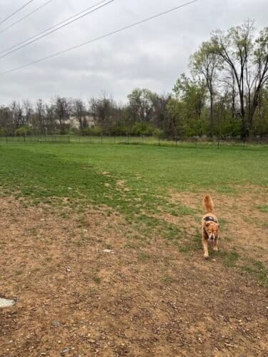 AC9h4nqzWVTpBdyyHzurnkDc59MdU6 uReitcILFAZC82SEC4d47WGAfG8IAk0Q0UnY1dBYHmqvfDCQtjvaunGoqEcMapi3qUqv8m yWnxUGElZrwHBq5vH8LgKTLL7V1qniueufwv31xAw1600 h1000 k no