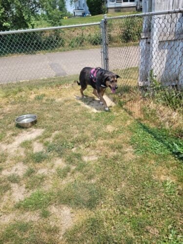 AC9h4nqzdFhNJBrB3T7rGM5Oe5DaxtsWtFW7cKtJMuUw6lTBongohzdaMzV Sif8DWKPiN IkN65GNs0 YeqjdSX0xh1TyNOe04oirU0u 4xEFlo6jxbYCHp5RPAaLkKymI0WEFFdUPrw1600 h1000 k no