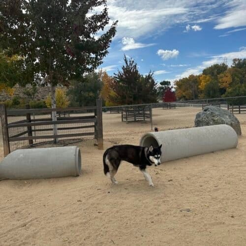 AC9h4nqzfsHO6W9qGTTtHjTh2GXgoD4fkmxCX7D tc k6S713PiKjbjrSUZGQWD41 efwIHmt4HApuNGbKuDctVDE509tAkhvC5NIRCLGz8CKtZXCr6ysL90e2j9b1hT4OliDbuvhJkw1600 h1000 k no