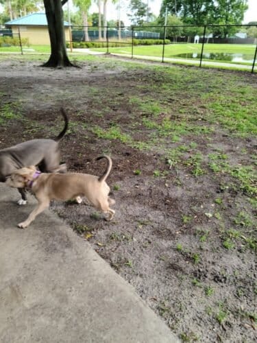 AC9h4nqzriV6yVjwHyNj2A uBzRcnOf7BD7RNk8xlOPa2m D CzcAgD 3sUeE BDTSWM5DhZwEF7CI8ySHApjx9ttTwVsQYJ4dMB258D4YNBARbadtvQMZCfm6GbE3mzY7iaJ2FBnEurw1600 h1000 k no