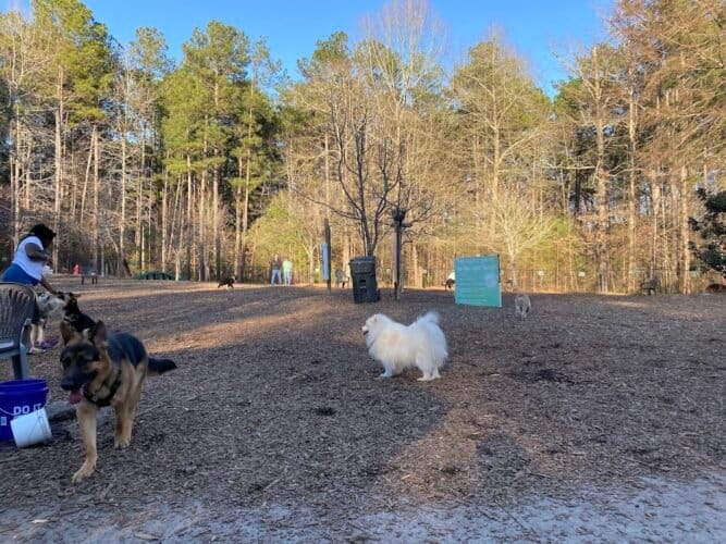 AC9h4nqzxqqaWz2LAeyNH8OW0aWkJlVA5uxF64ba23CJeGpxJoYI0kqBG0jiOCHIYMwI5ov4IugbYf2vddajpisL4xdJQLBgK0M8LIdGcsldTDVd1Q7U6XBzZd4UP5Y6I21HTD1YzlFUw1600 h1000 k no