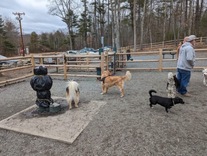 AC9h4nr 1 LPgthPLYT9iV9kWX2ng 2j5rnQhtT s7P4FJEK1DRvA5aCNcfM0vx8Rf eKxH6dNPyyMIvvP62bbX0 BrYSsjy1jTwqYhJGs0aVl2yu48YLv6NQZS pxpsNDV9 PTH9I 1w1600 h1000 k no