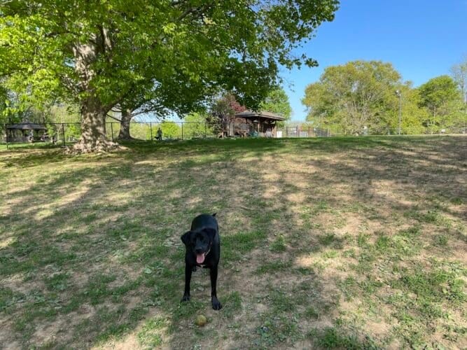 AC9h4nr BEkg RHs7IKu3ByIPtTw1RTLhVwUJ4 ltLdMXMUK1T18TUqJlAU6vgix8DdK TpT I0ydqkugGUr sqeAHnkA28DQylV3mBvvAhiKJbotNilrUxY3XO0k8F4Q21 E8mKj8HLw1600 h1000 k no