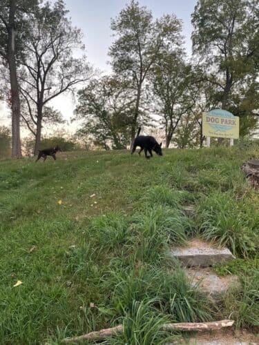 AC9h4nr FvzqHTb3KlU9koYe8zEeCIk6gQKntfkUTu8FGz BmrIR OlS aJHnhibHwOXJwlyx0wVECaemaOPdIqZhzuMuO7nsdtF88ilw1600 h1000 k no