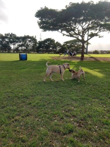 AC9h4nr lYY7vaa7nDok9JI76lc Q9JFLw47x05sANqqAu3Il X 7r xf2xL7keyTMSJiR4jc4KppMXbh ocPetdCI9Ok54WAxPbIbTsWQq022NOdcqG RuC9NtgYxxxsONlbu8QZtYv2Qw1600 h1000 k no