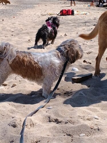 AC9h4nr lrdFBhvtGWY 2AAFlwzOhXt FYI5EkuijibYwQepMtEeuQx4uHSpediOKdlfz8v847K5 fIqmMei ZeqiigqpYlpQRuIiU PXaDTDksdJEUNA9J08vTJIlfy mw9iHHwe E8w1600 h1000 k no