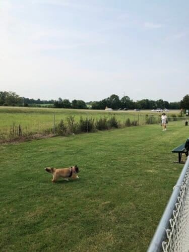 AC9h4nr xflvZ09WVSpC69LAnd6RXpG0YQUTHYQWET0HSPzsoDtmG4 z7g1sxl pkdBDRS4VLYKU2VHwqzNid0 lbW3djLVDtNq31UPSgQmMbAOJNFELeEJ0vftVfHe3 m8oQjgEGKcOw1600 h1000 k no