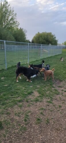 AC9h4nr0Nhs6YzH3kR q78PCjwhHC7G0XgqUxmo4YH8uEkYCztk AOyIo9CAETIiSK8YT7UvUmeBZBpXLelBYMBFx7WlO1ZZBoDiNxFi8lnB3NbKF0l zbvNajZvFuhf9IrGfiPhBtVebQw1600 h1000 k no