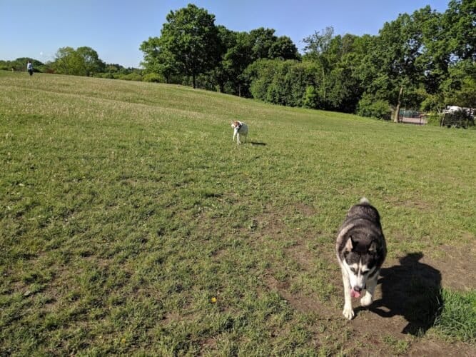 AC9h4nr0X1pMruJOl aD2LlJWR7P0nh V5Fg3ty8g3 Iqs9CFv HE2w2crIUd9a2wNzESpQIL2djFnIV9Bcugky8zYF 1YAQeKz5rlyU4hww1600 h1000 k no