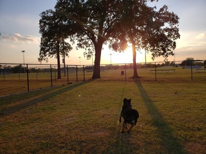 AC9h4nr0fZwDL5Z dk2I4eL8abS2v8pLoV2FsbilhRUbpSbopMI ybLmvot4lNu3QwQDMD1LR8TzPYwObwlzFNJwiEUNeJgZNHQpDR tZW QhkXI3qW9LDGKg9GwF0y5B6oaqVKowf2Yw1600 h1000 k no