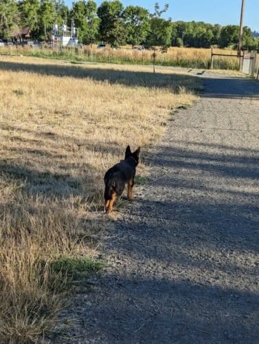 AC9h4nr0jLerGP4 VNaQbEigbe4mar8yYkUNLK9OgJi 4kTGoI ngdTN2Fois7PD1l jKbb7 RiO zFHDOMMf9BuJvT2T1yXnWh6FuISqhcco BbNNGkDu7rNKXgruLzA6lnGYtqRO lw1600 h1000 k no