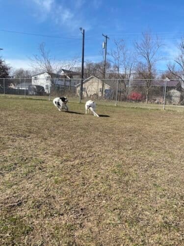 AC9h4nr0jefpuTusugtaUIpXb 7xDP4arNMpw1RuiCV3mHNDOo3Juh4WeDwAgrPmhBEZbUsuzdFtsVlUcSAb v30Pd9RCT5 GaTbkP1s6ww1600 h1000 k no