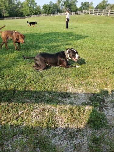 AC9h4nr0pIBSNmAukLCeWmotH9Tozo8uD1rc4wssa6l9EhbpXiw0ihSo3QIjT4v ApgZ7M jjxAkLJv2cnNd 2t9hPFzzjduOVSb 81DaGldNgxY1UkhExhc9IfOXM0iiC1K2gI7ys0Qw1600 h1000 k no