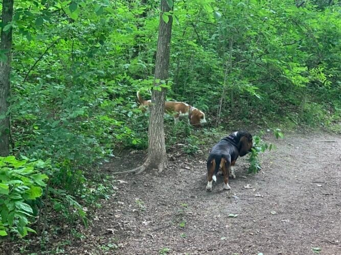 AC9h4nr1F16XqQeqIdcvo 1Ejm8O KOVuQ9ggVsklWIjsn8M0m6HjTn61dDEZsFVUn4yT4pv6gHBt5zPaoFsdDqS5H6tT0XDlQfcVNl84yEHMaH8XeleOcXauEYqzeBJjvupjImgOGPXw1600 h1000 k no