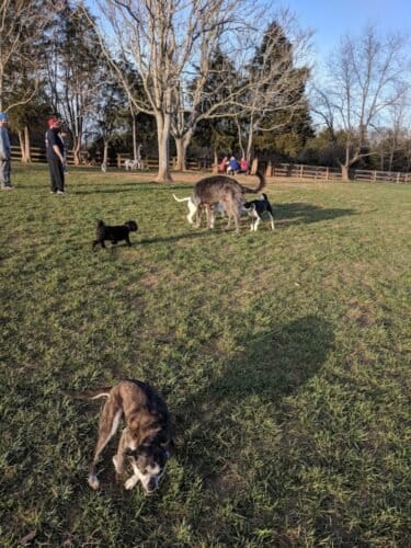 AC9h4nr1GRQeXApdf2NtzNk5RBMrz20O8APcyjC ynT9Hholqq2b29v19O9U UpCXKZ Sgp t1AtAhqfTKLYAfrMHEptYDgOT5kDNwhzC2LyCONmobpbvfjjs7xgrZG1r0YH0SEn8dmEw1600 h1000 k no