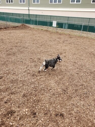 AC9h4nr1IKqcAZqcB3K6wLjkfn 31K1VW4ePA e Apedic6jYdYhS1bymPQmk71Pay2SWfHXeyhQAObJbu4k0x6Xh2i6YbjUvEh2w6vq4eZA661nUYHPAFH kNCnFC jG9W7byKEn12XzAw1600 h1000 k no