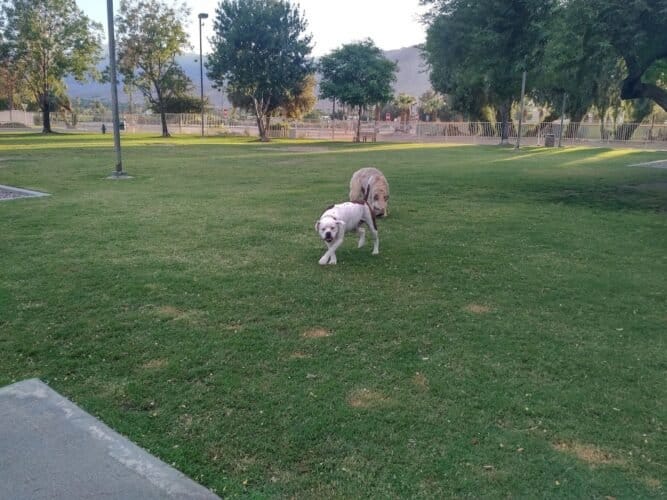 AC9h4nr1MsBH28B8atPOjUIppuRvFkbRZmycLhA17fPgKMeIorMp27DRTvvWZM2xpQml8H8pyriMVrpEahdQFooqLcqz1CdRHkB13Witqk o8WKTnf6A35iZAs 1NJDfuEY1Q FwZmEow1600 h1000 k no