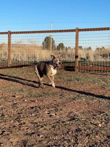 AC9h4nr1QuqiDvg 1PxFC6fB33XyD2H2iwFvXATm32sgkdzw60c8rncnVuAtCBJdGYYkyUH2r DQ2L9NMdvCwdj0wmSuc1bWdRRTWPiqdnWRVKC2zLt Yny6Mqf3WsIxrzP6scclyZ5gRQw1600 h1000 k no