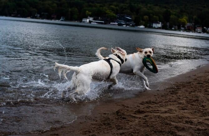 AC9h4nr1ZnHoTVdjkatZGTyjsVLQjZ5r3gYlcYfn t2jHMVLaoCfg 0c2KKD0AGI7V  rNqDJHIhhHGviG4UgCiU43ElhbgzjVyrfSEKNBGbFMFVqvb6a5 ARY9MrUFAtg9aYQcrVEE6w1600 h1000 k no