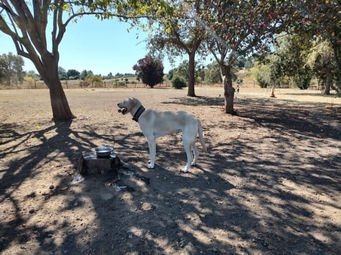 AC9h4nr1qkSio6 FbhBeMiLLIApBSIEGUH8G6064we68KGp2pvu2To4nbWT6ucRdRBJBViXCUCcO7x75 CasnJkWSSadO bgsJc9DHrT6vmFXR79FlP7SGGFNwGn186lxDLt6Hcc1 HdIQw1600 h1000 k no